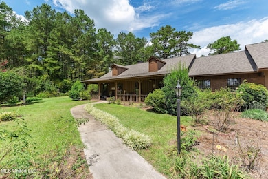 307 Salem School Rd, Collins, MS 39428 - photo 6