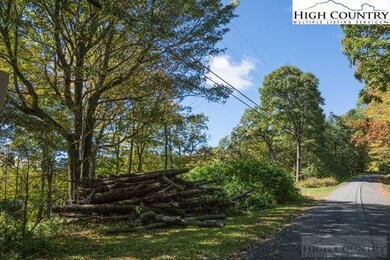 Lot 28 Yonahlossee Trail, Blowing Rock, NC 28605 - photo 3