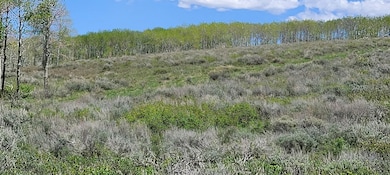 22040 Snowbird Dr, Helper, UT 84660 - photo 3