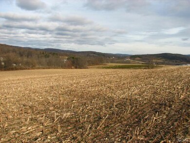 0 Kimmels Church Road West Brun unit 423457, Schuylkill County, PA 17961 - photo 4