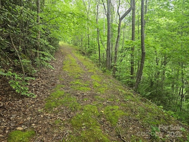 Lot 4 Quail Ridge Blvd, Lake Lure, NC 28746 - photo 5