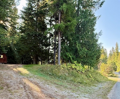 749 Halo Dr unit LOT 18, Bull Lake, MT 59935 - photo 6