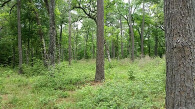 480 Pelican St, Magnolia, TX 77355 - photo 7