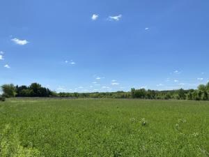 0 140th Street Parcel, Columbus Junction, IA 52738 - photo 2