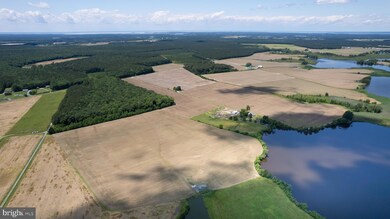 4425 Egypt Rd, Cambridge, MD 21613 - photo 6