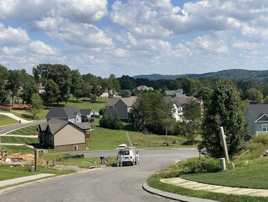 view from Blue Herron