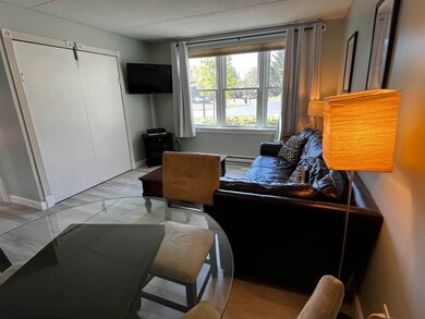 28 Packard's Rd unit 213, Waterville Valley, NH 03215 - photo 5