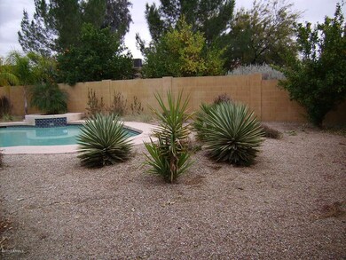 Back Yard 1