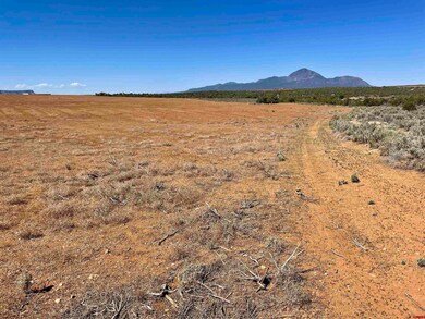 Tract 1 Road K 3, Cortez, CO 81321 - photo 6