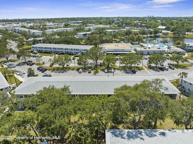 1-web-or-mls-DJI_0915