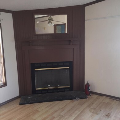 Fireplace in Den