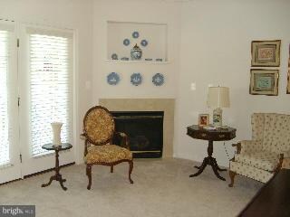 1597 Homeland Dr unit 2D, Sykesville, MD 21784 - photo 2