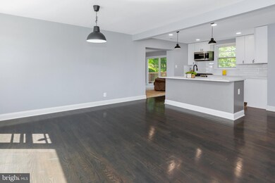 4602 Cedar Garden Rd, Baltimore, MD 21229 - photo 6