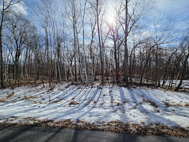 XXXX Julep Trail N, Columbus, MN 55025 - photo 2