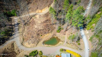 304 Honeymoon Lot 69 Hollow, Butler, TN 37640 - photo 5