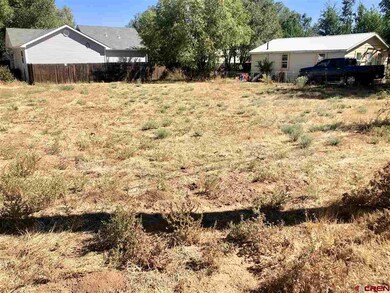 710 N Mildred Rd, Cortez, CO 81321 - photo 6