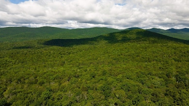00 Albin Hill Rd, Braintree, VT 05060 - photo 5