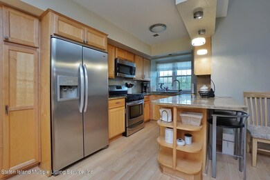 85 Elmwood Park Dr unit 43, Staten Island, NY 10314 - photo 3