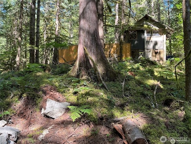 64308 Cascade River Rd unit 1L147, Marblemount, WA 98267 - photo 2