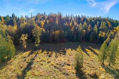 25520 SE Old Black Nugget Rd, Issaquah, WA 98029 - photo 7