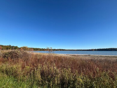 V L 1 47a North Tallman Lake Rd, Fountain, MI 49410 - photo 2