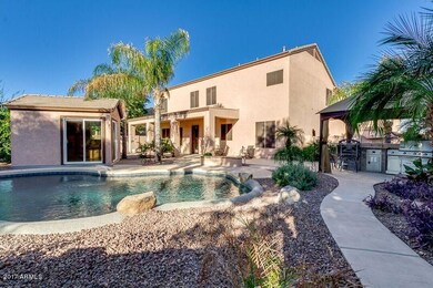 Backyard 1