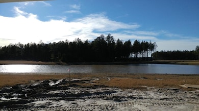 229 Bering Ln, Summerville, SC 29486 - photo 3