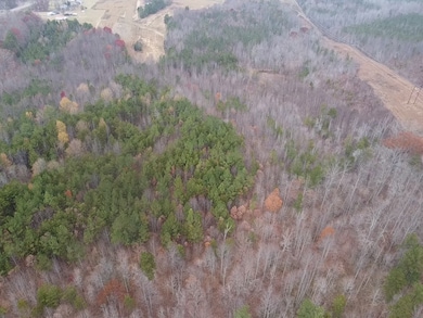 5 Acres Shiloh Church Rd, Nathalie, VA 24577 - photo 3