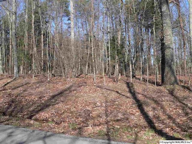 5025 Willow Dr SE, Huntsville, AL 35803 - photo 6