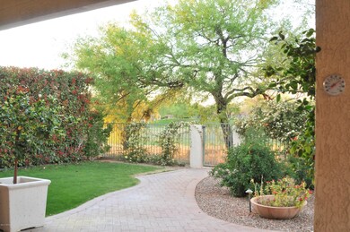 Picture perfect backyard
