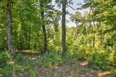 15 Bango Dr, Leicester, NC 28748 - photo 4