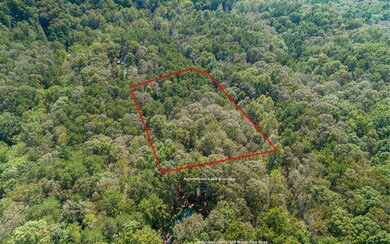 0 N Pine Rd unit 312420, Ellijay, GA 30536 - photo 3