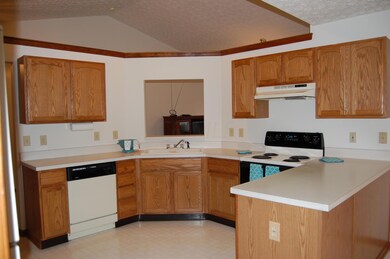 Kitchen View 1