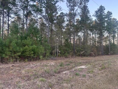 Lot 2 Blacks Rd, Williston, SC 29853 - photo 4