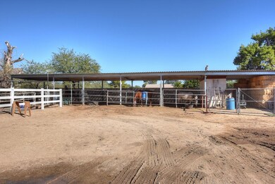 Shared Horse Area