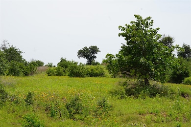 View of local wilderness