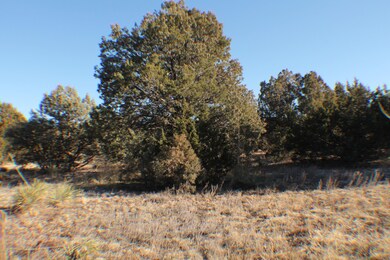 IMG_8935