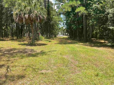 9890 Ocean Hwy, Pawleys Island, SC 29585 - photo 7