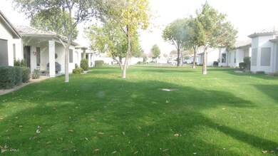 views