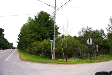 5 Lots Monroe St unit & Taylor St., Merrill, WI 54452 - photo 3