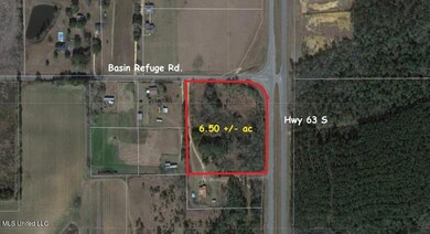 6.50+/- Ac Highway 63 S, Lucedale, MS 39452 - photo 6