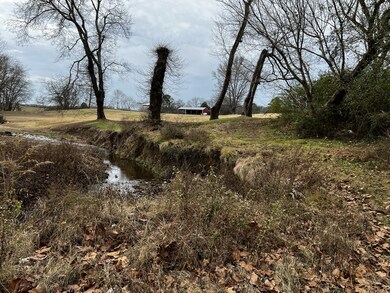 0 Country Club Dr unit RTC2462978, Linden, TN 37096 - photo 6