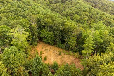 0 Grassy Mountain Rd unit 419178, Chatsworth, GA 30705 - photo 6