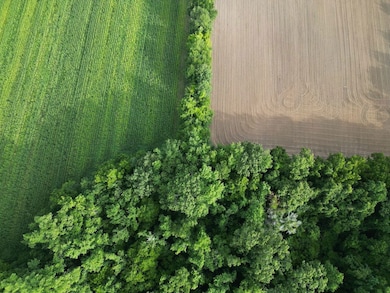 0 Cypress Campground Rd unit LotWP001, Ridgeville, SC 29472 - photo 7