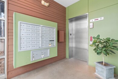 Mailroom and elevator area