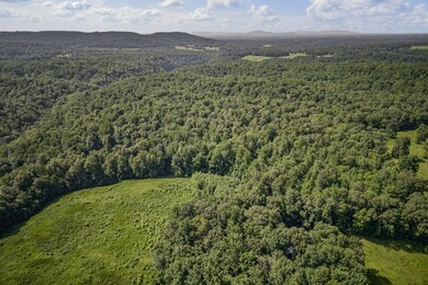 1 Creed Wright Rd, Walling, TN 38587 - photo 4