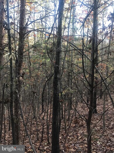 0 Herdman Hill Rd, 3, Marksville, VA 22835 - photo 3