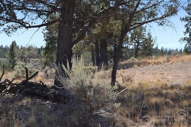 17311 Mountain View Rd, Sisters, OR 97759 - photo 3