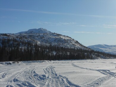 Hayes cabin McHoes (5)