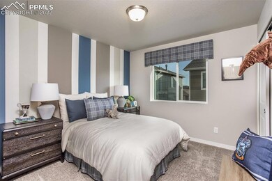 8029 Nico Way, Peyton, CO 80831 - photo 5